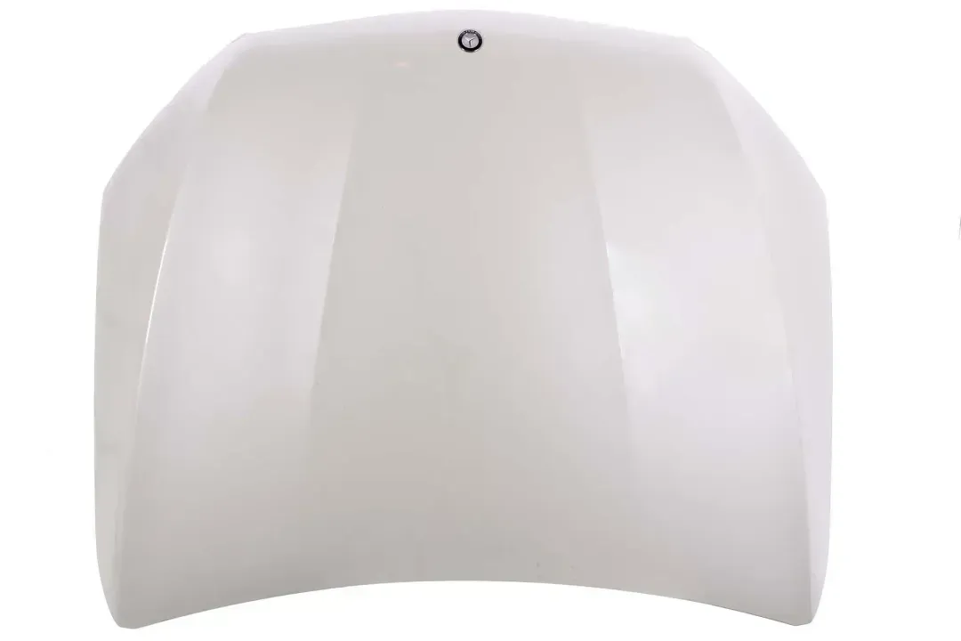 a2538800157 9799   hood